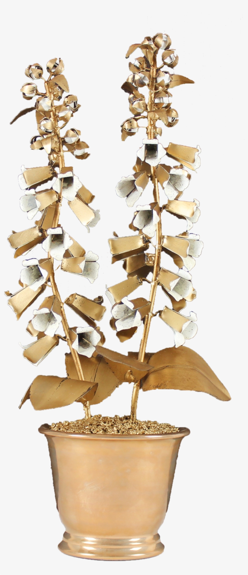 Gilded With Ivory Blooms - Ivory, transparent png #4264483