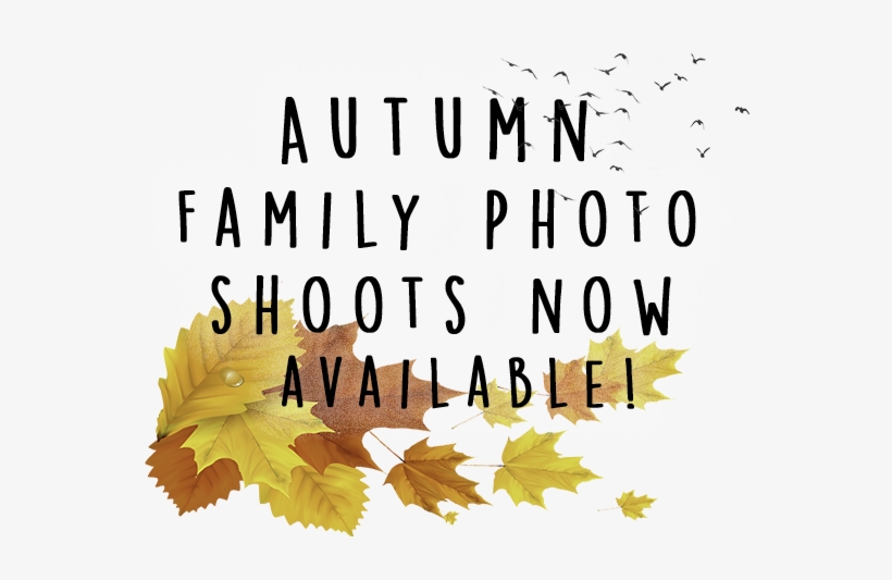Page Banner Saying Autumn Shoot - Autumn, transparent png #4264614