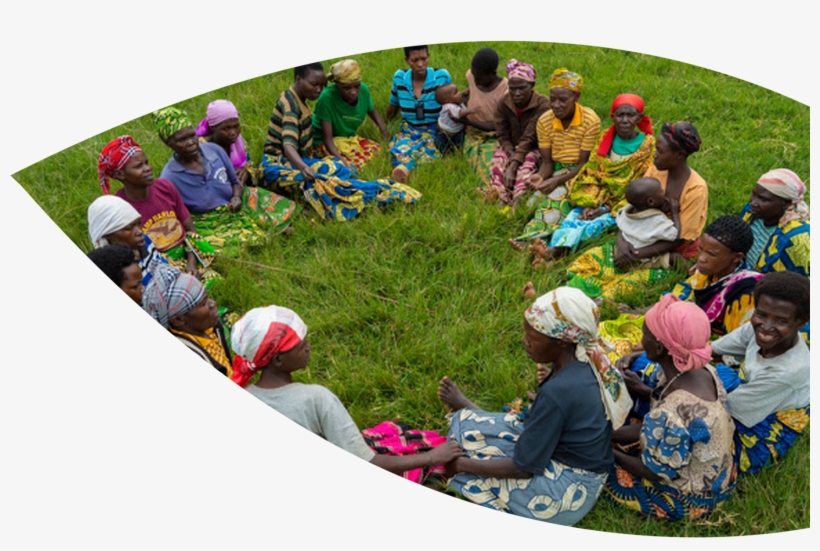 Why Foxglove - Foxgloves, transparent png #4264650