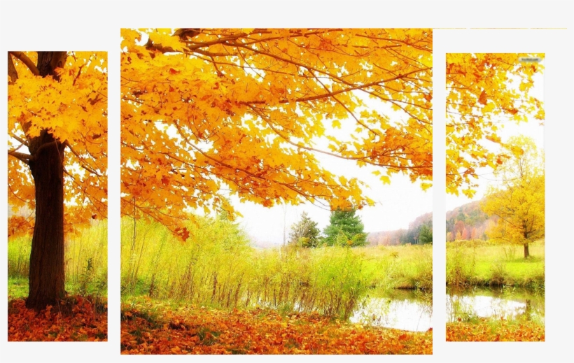 Autumnsplash Alt Banner - Autumnal Scene Desktop Background, transparent png #4264679