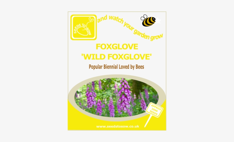 Foxglove - Wild Foxglove - Suttons Seeds Lupin Seeds Russell Mix, transparent png #4264788