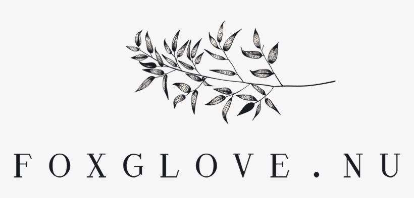 Foxglove - Nu - Foxgloves, transparent png #4264792