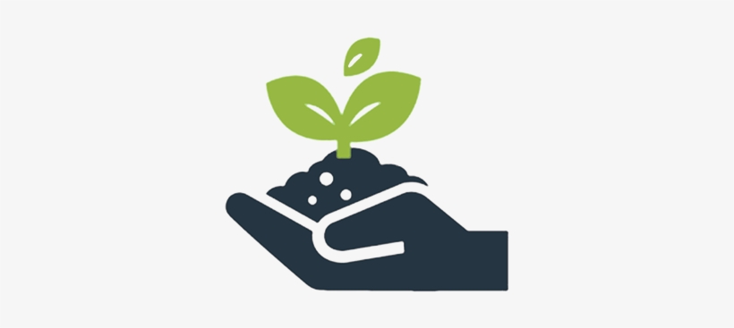 Business Growth Regreen 2016 12 05t10 - Plant Growth Icon Png, transparent png #4264894
