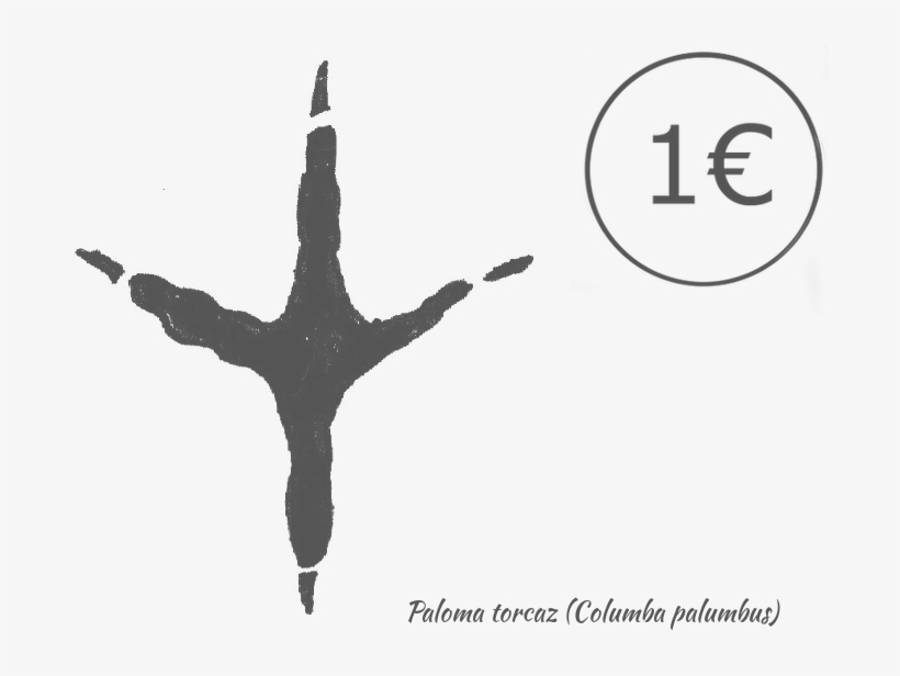 Posee Una Cabeza Pequeña Y Pico Naranja, Con Manchas - Flight, transparent png #4265470