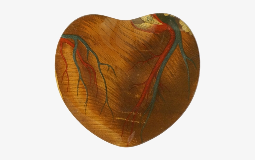 Heart Heart - Heart, transparent png #4265548