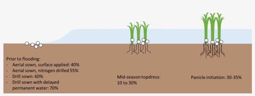 M#season Topdressing Has Lower Efficiency Than Other - Portable Network Graphics, transparent png #4266050