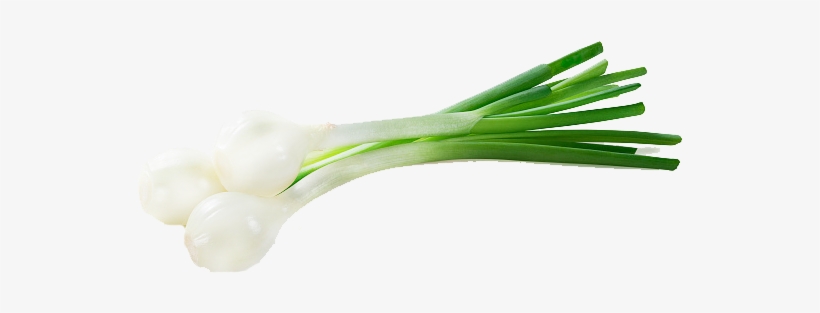 Leek, transparent png #4266149