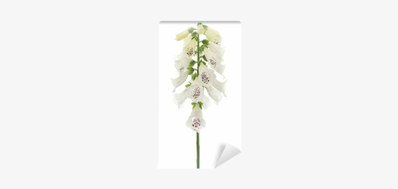 Artificial Flower, transparent png #4266180