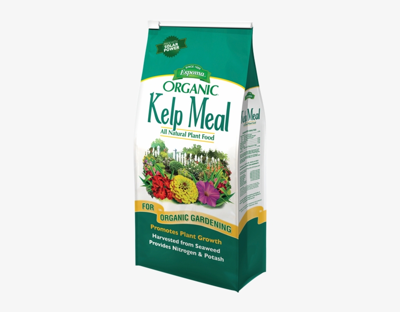 Kelp Meal - Tree Tone, transparent png #4266278