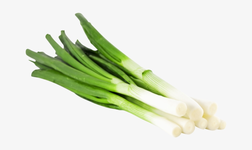 Product Group - Spring Onion, transparent png #4266422