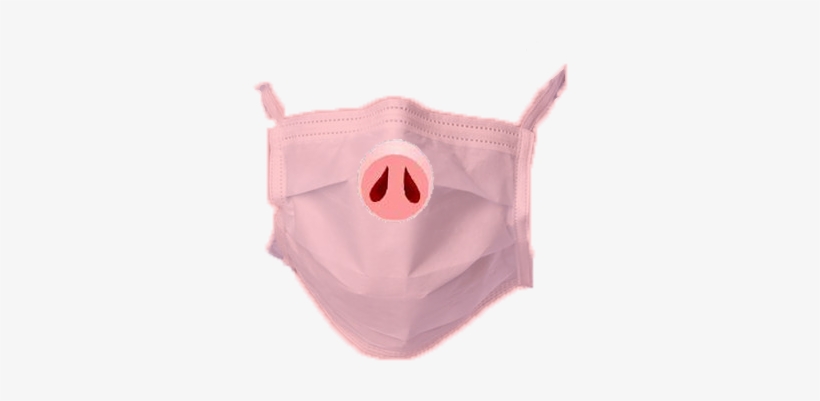Are You Worried About The Pigs Flu - Panties, transparent png #4266546