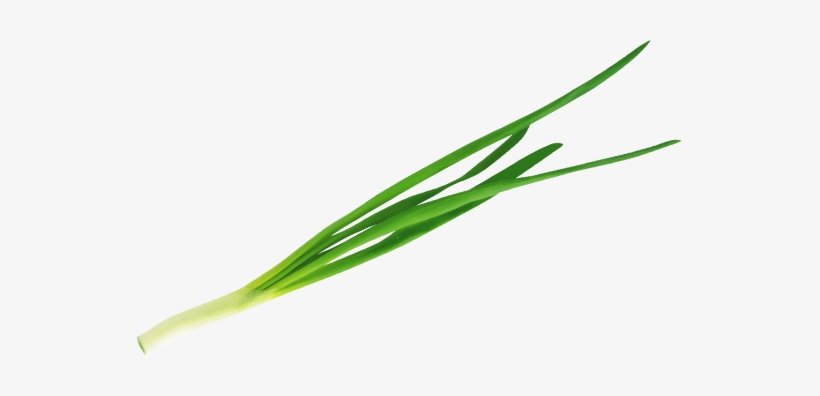 Clip Art, transparent png #4266809