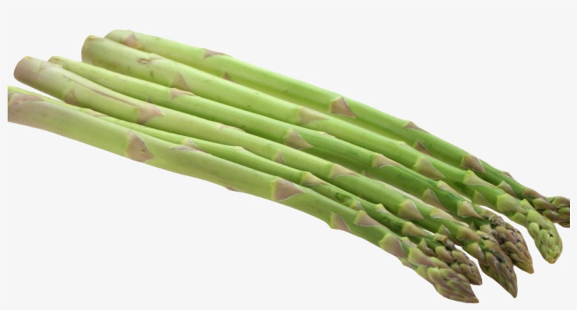 Asparagus Png Image1 - Asparagus Png, transparent png #4266854