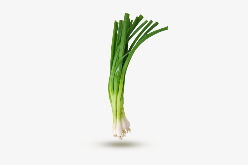 Onion - Oignon Vert Png, transparent png #4266927