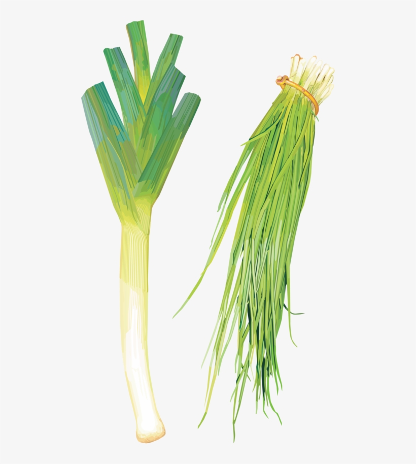 Green Onions - Leek, transparent png #4266995