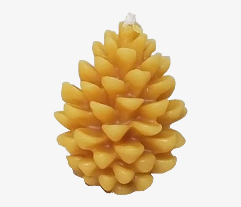 Small Pinecone - Conifer Cone, transparent png #4267077