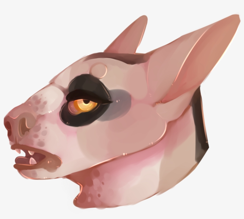 Details - Domestic Pig, transparent png #4267365