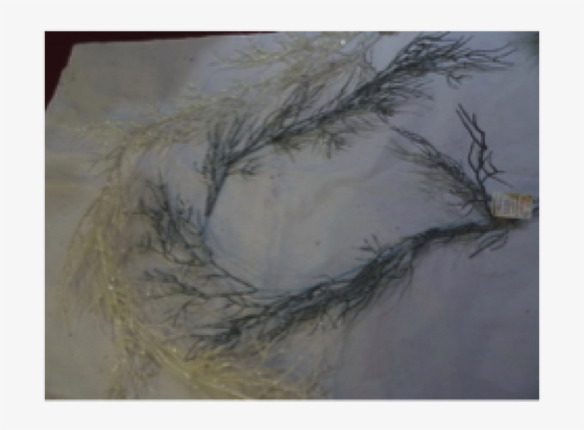 Guirnalda Pino - Visual Arts, transparent png #4267528