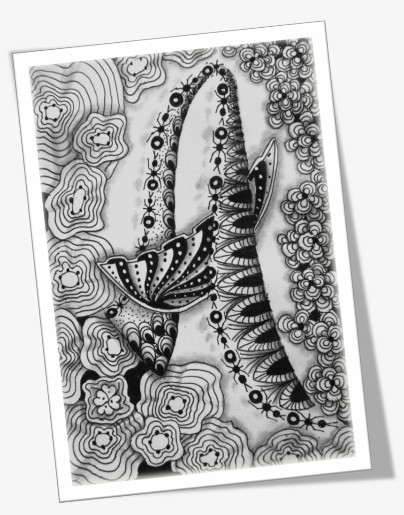 Abc Of Zentanglea - Doodle, transparent png #4268261
