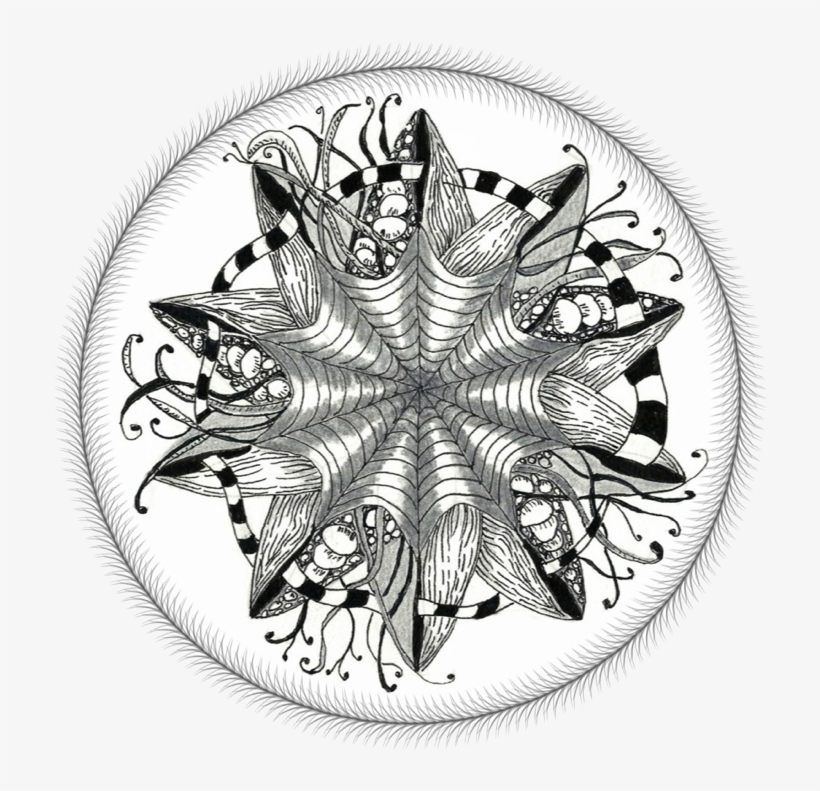 It's The Little Things - Circle, transparent png #4268673