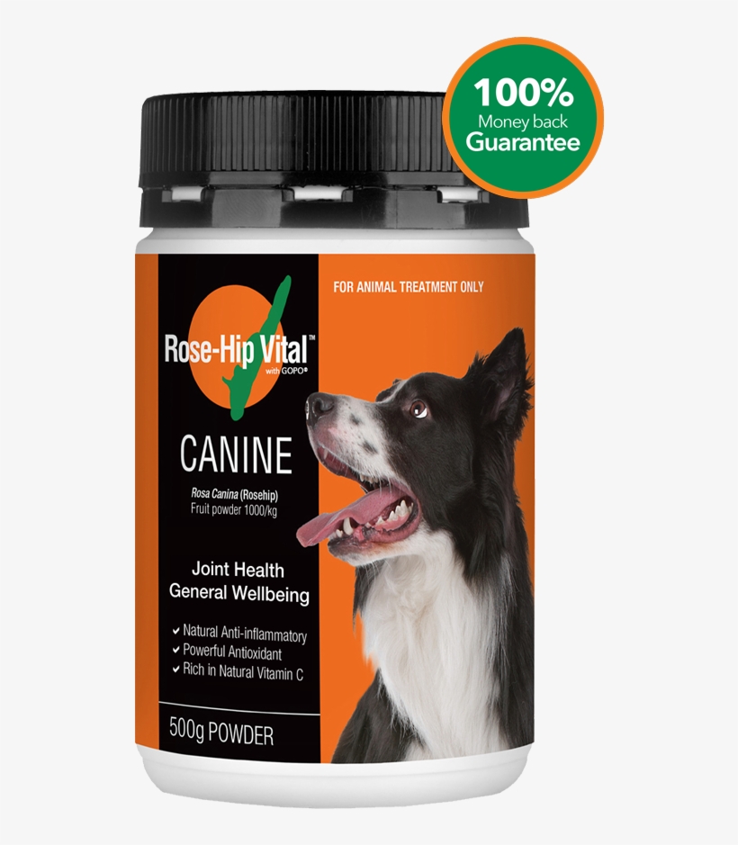 Improve Your Dog's Joint Health And Wellbeing - Rose Hip Vital, transparent png #4268765