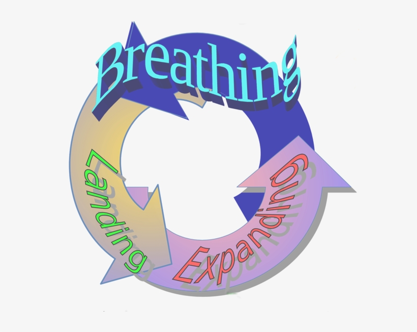 Basic Rhythm - Paradigm, transparent png #4268951