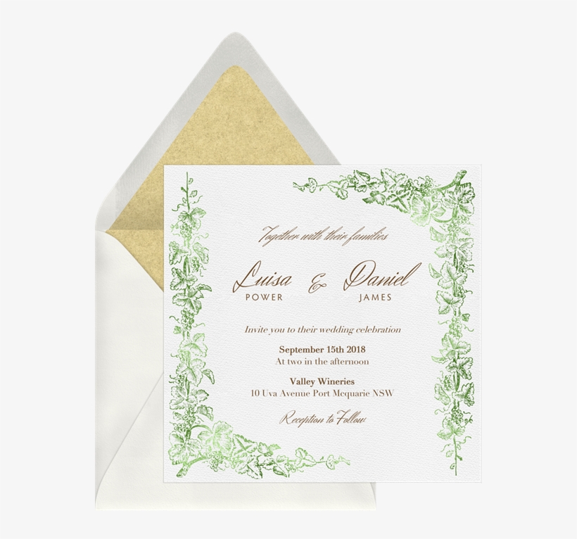 Grapevine Border By Claudia Owen - Celebrations Intertwined Vines Invitation, transparent png #4269720