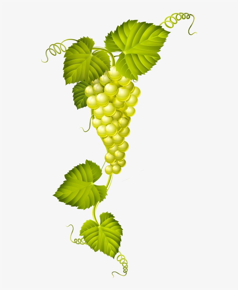 Find This Pin And More On Decoupas By Galvezdoa - Wine Vector, transparent png #4270058