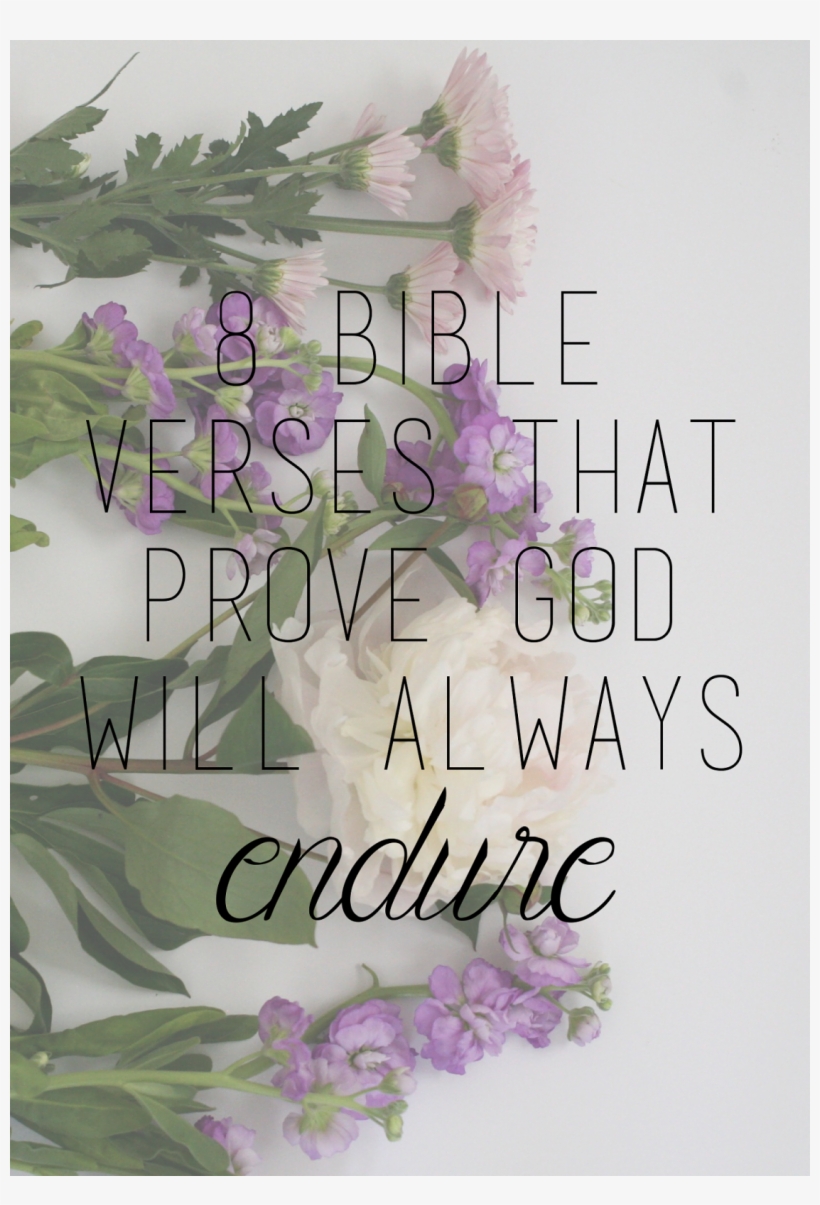 Life Continually Brings Challenges That Are Hard To - Orchid, transparent png #4270373