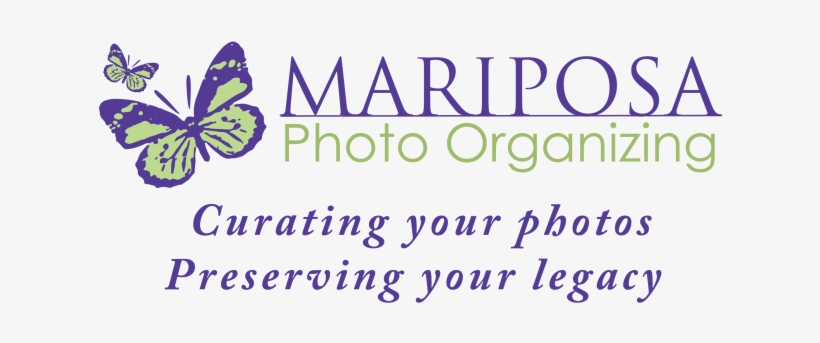 Driving To The Darkness: Splinter's Journey Through, transparent png #4270645