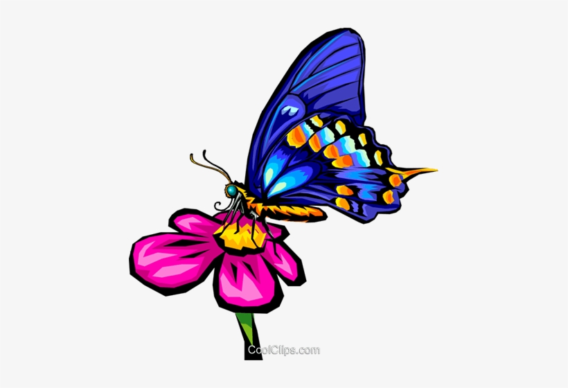 Mariposa Libres De Derechos Ilustraciones De Vectores - Butterfly On Flower Clip Art, transparent png #4270651