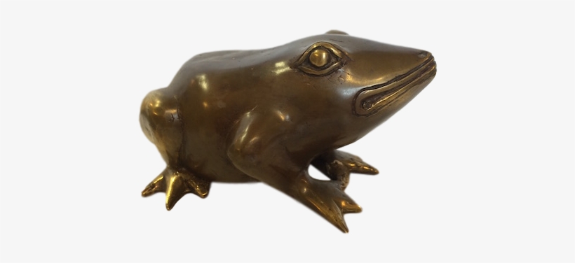 Toad - Eastern Spadefoot, transparent png #4270934