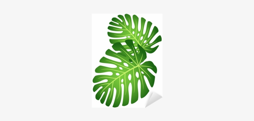 Adesivo Foglie Della Pianta Tropicale - Elephant Ear Plant Clip Art, transparent png #4271081