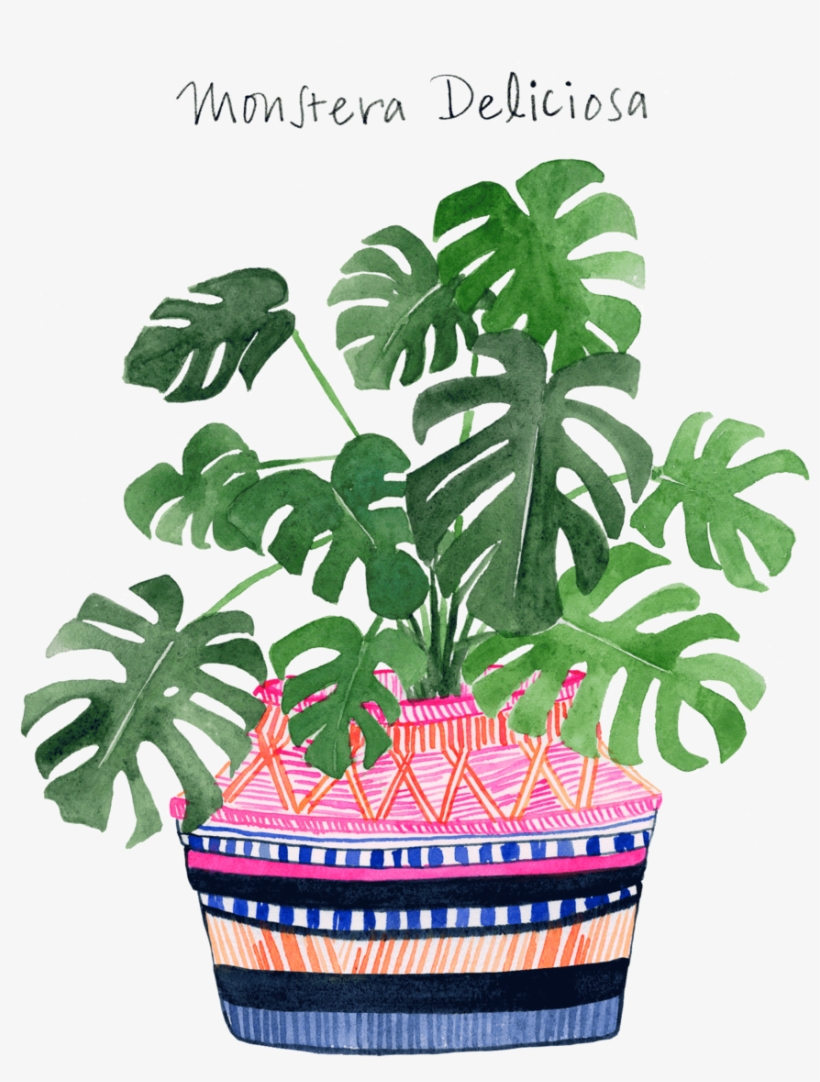 Monstera Web 2016, transparent png #4271514