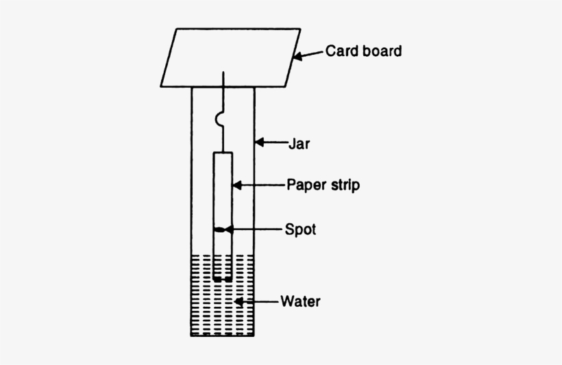 The Number Of Components In Ink Dye Is Equal To The - Central Board Of Secondary Education, transparent png #4271784