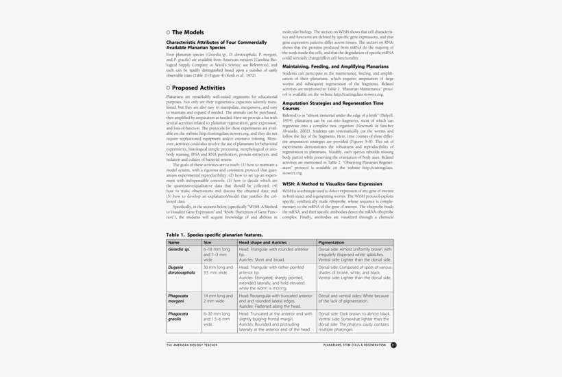 Document, transparent png #4271855