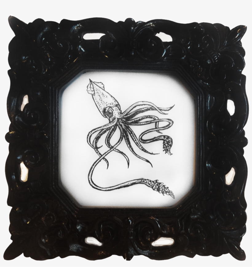 The Ornate Frames Reach Back To A Time Where Science - Picture Frame, transparent png #4272186