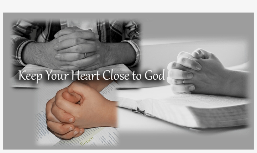 X - Importance Of Accuracy In The Study, transparent png #4272362