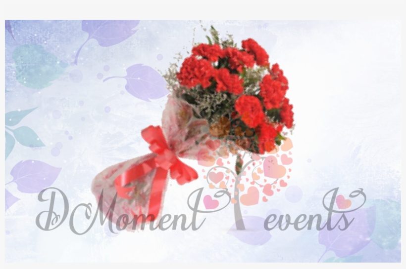 10 Red Carnation - Garden Roses, transparent png #4272517