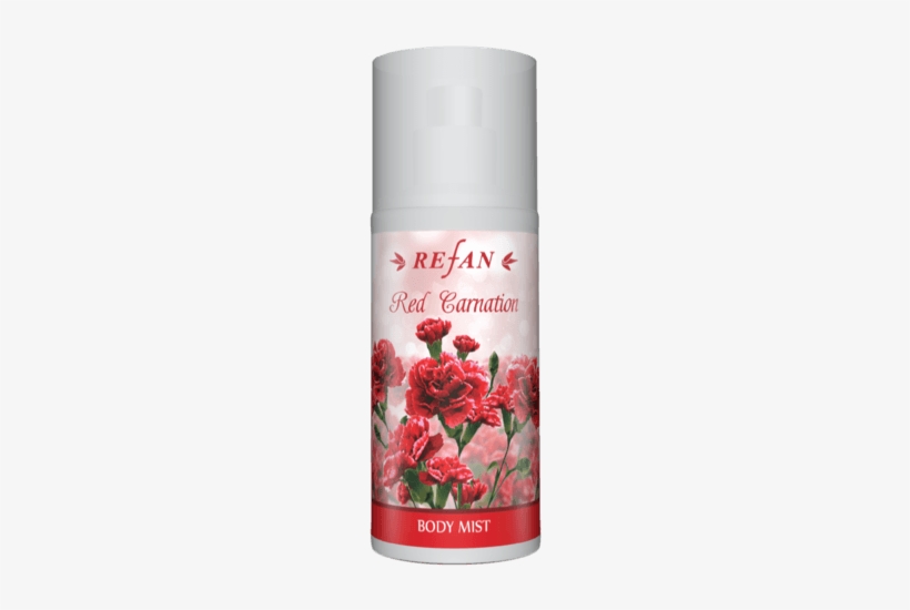 Red Carnation - Azalea, transparent png #4272560