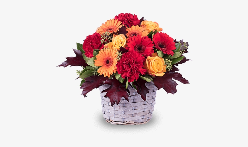 Gerberas And Carnations - Buchete De Flori De Toamna, transparent png #4272589