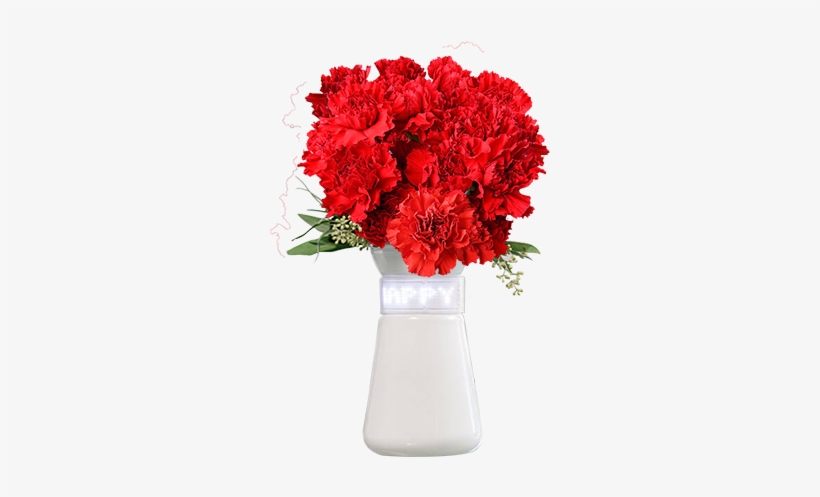 Features - Bouquet, transparent png #4272636