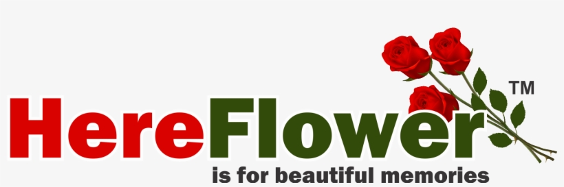 Here Flower - Flower, transparent png #4272951