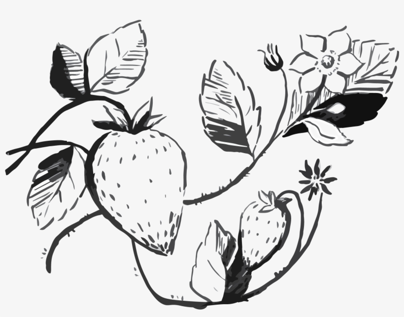 Arugula Salad With Strawberries - Salad, transparent png #4274257