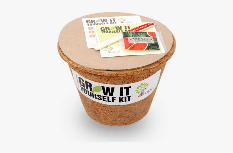 Fruit, transparent png #4274287