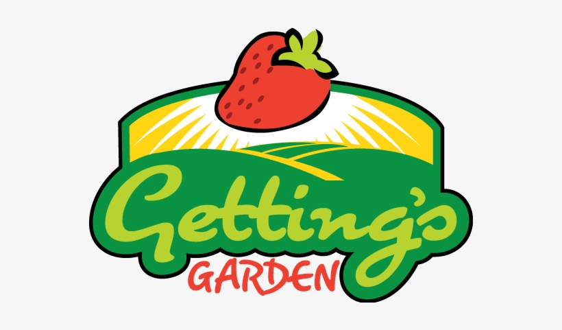 U-pick Strawberries - Garatuja, transparent png #4274314