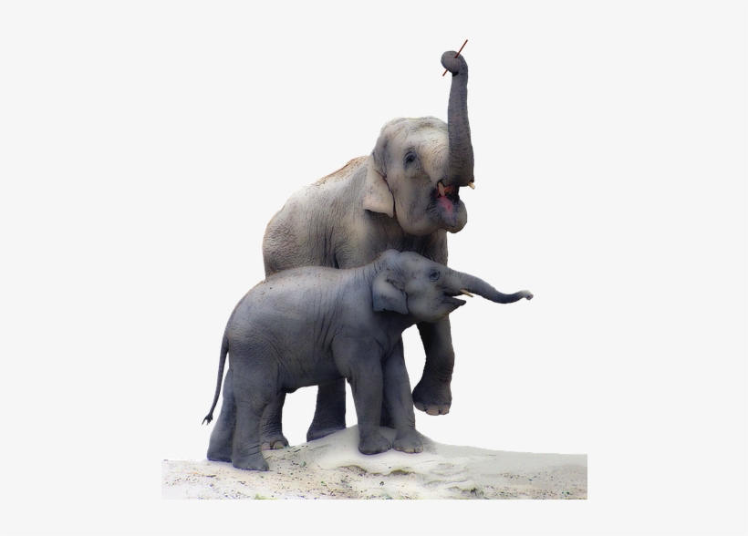 Free Photo Isolated Trunk Elephant Illustration Baby - Elephant With Baby Transparent, transparent png #4274653