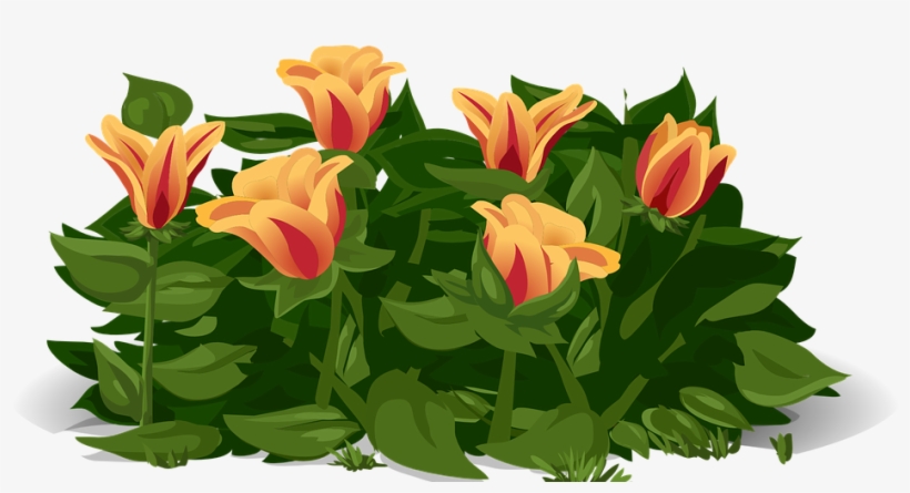 Tulips, Flowers, Plants - Gelukkige Lentedag, transparent png #4274654