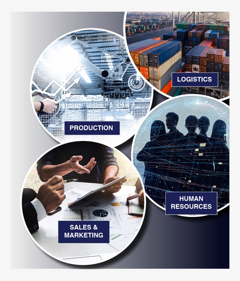 Bolas - Mother Ship, transparent png #4275121