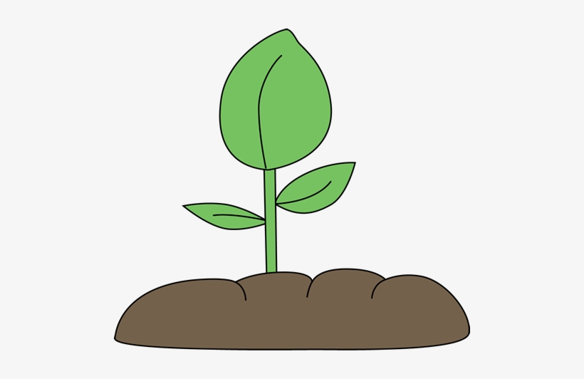 Plant In Soil Clip Art Clipart Free Download - Plant In Soil Clip Art, transparent png #4275127